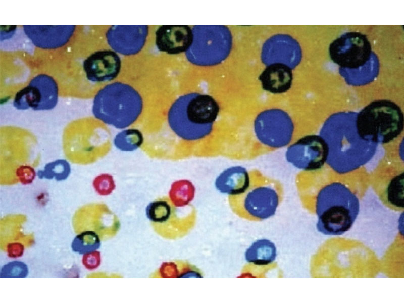 Flexo-Printing-Defects-of-Doughnuts عيوب الطباعة الفليكسو في الدونات