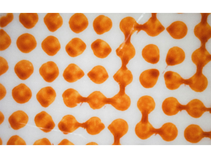 Flexo-Printing-Defects-of- Bridging عيوب الطباعة الفليكسو