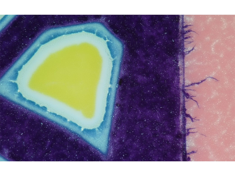 Excessive-Dot-Gain-of-Halo-Effect الإفراط في الحصول على نقطة من تأثير الهالة
